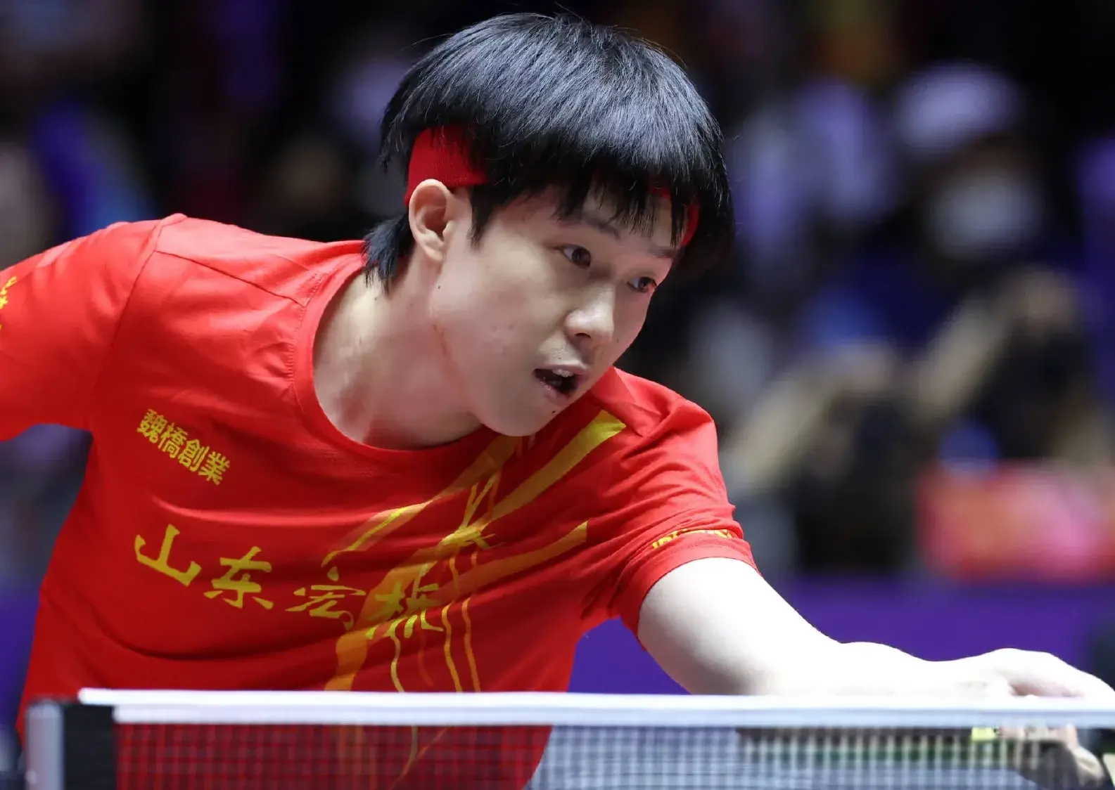 阵容王楚钦, yid, 的山东魏桥 阵容王楚钦, yid, 的山东魏桥