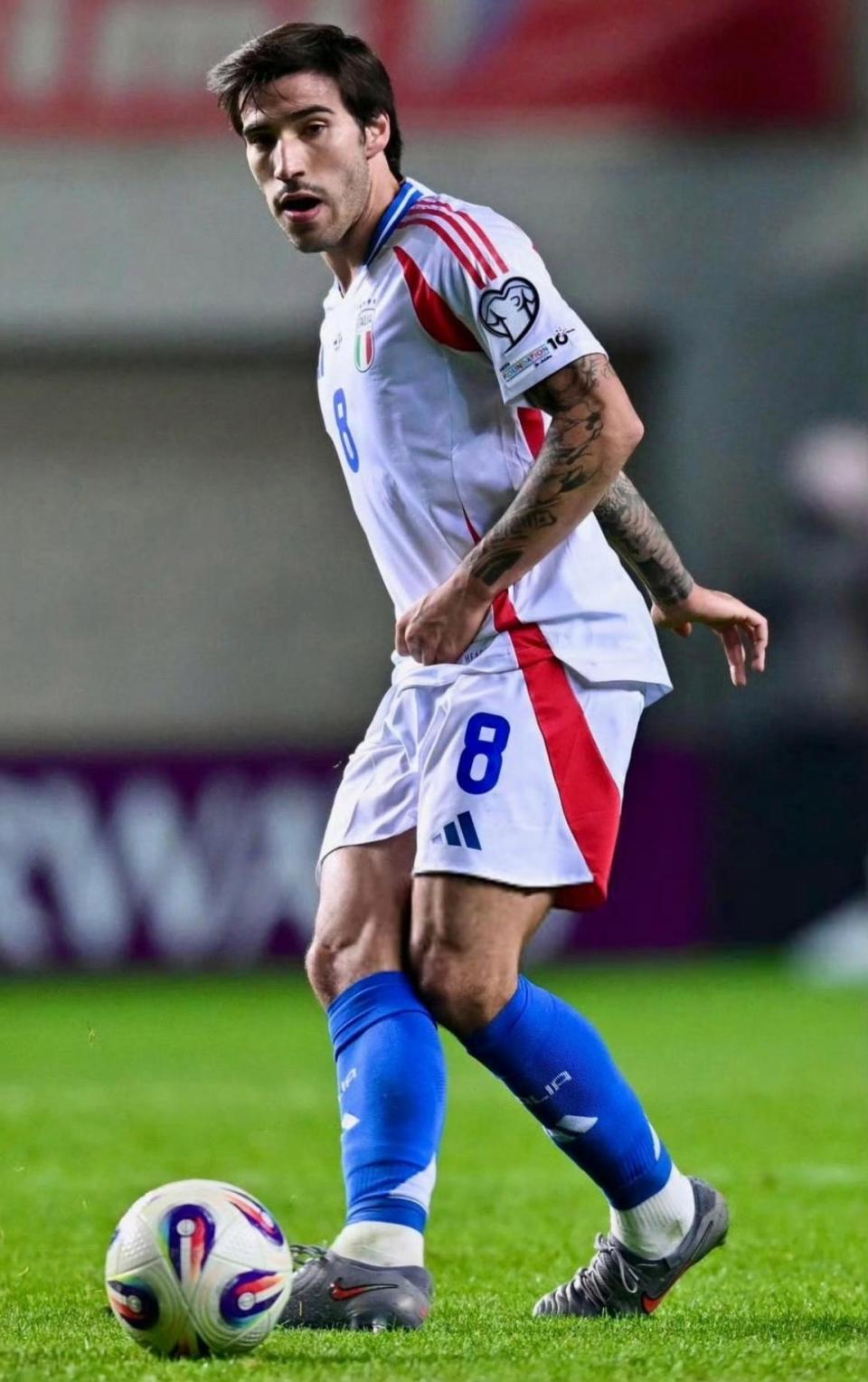 的决议后 的决议后